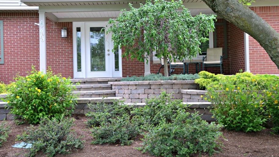 shrubs and landscaping in front yard